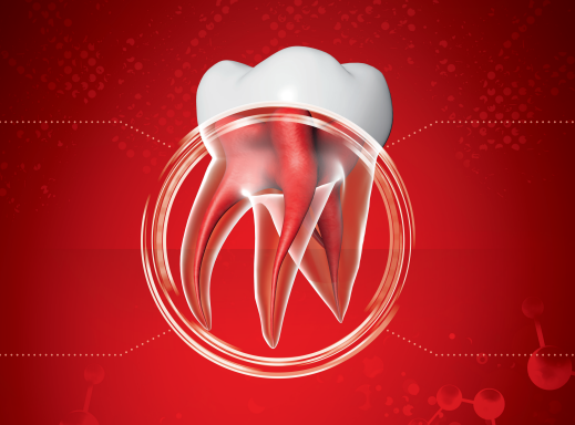 Biodentine: The Clinician’s Choice for Sustained Dental Health